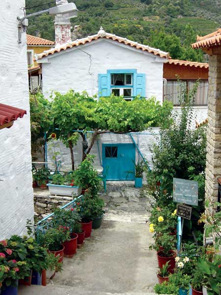 Manolates - 