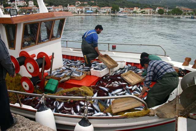 ORMOS MARATHOKAMPOS Image of Local Fishermen CLICK TO ENLARGE